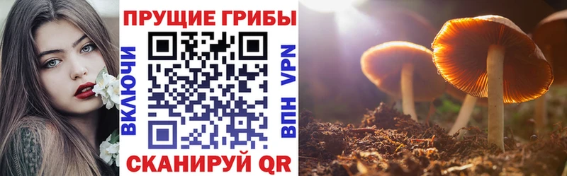 купить  сайты  blacksprut как зайти  Галлюциногенные грибы GOLDEN TEACHER  Фёдоровский 